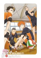 Haikyuu 45